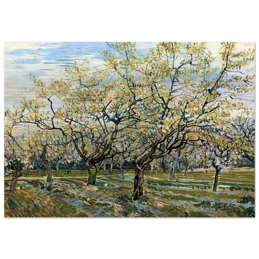 Orchard with Blossoming Plum Trees - Vincent van Gogh Brushed Aluminum Print - 70x100 cm / 28x40 inches | Vincent van Gogh Aluminum Print | Vincent van Gogh Prints