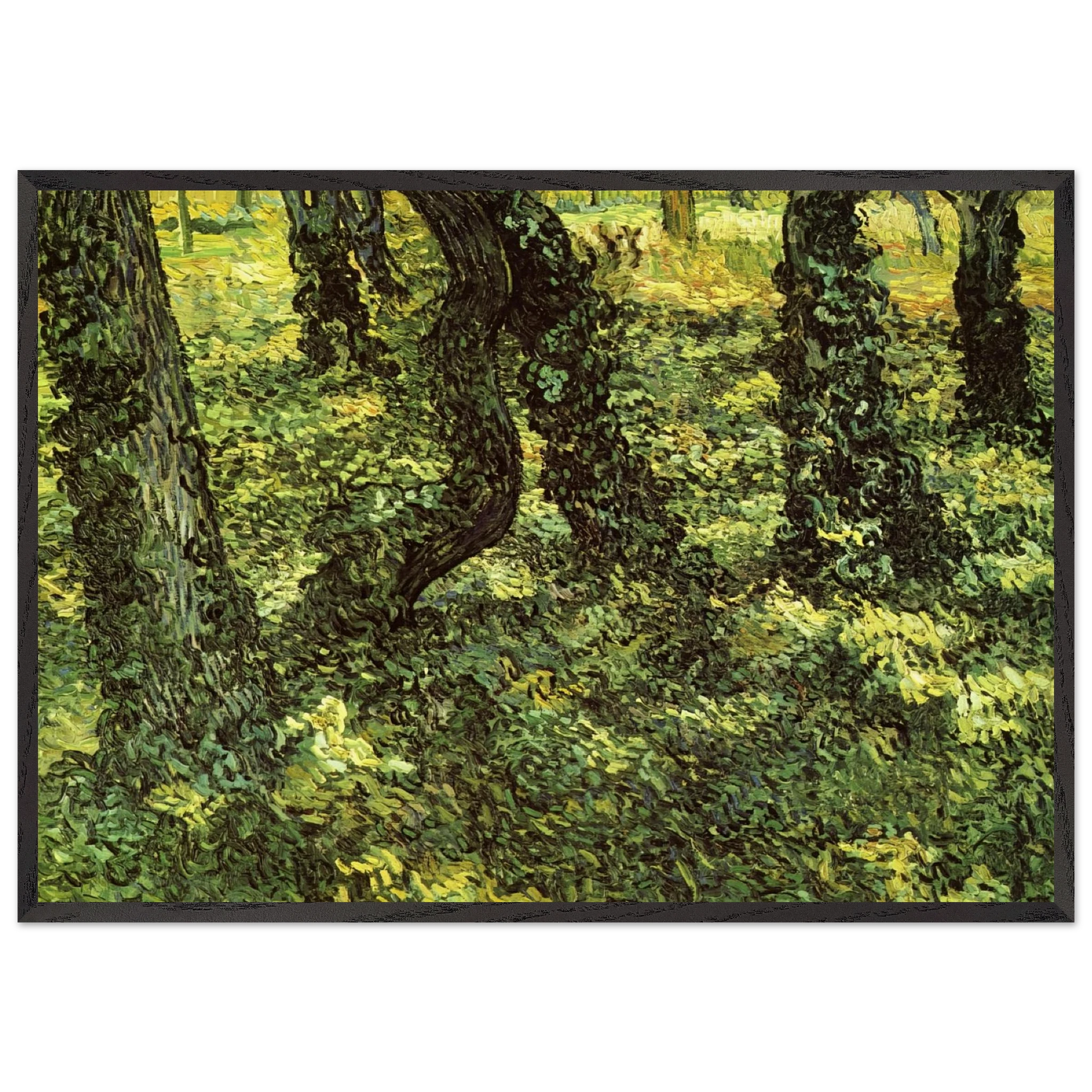 Trunks of Trees with Ivy - Vincent van Gogh Framed Art Print – Black Wooden Frame - Default Title - -Framed Art Print