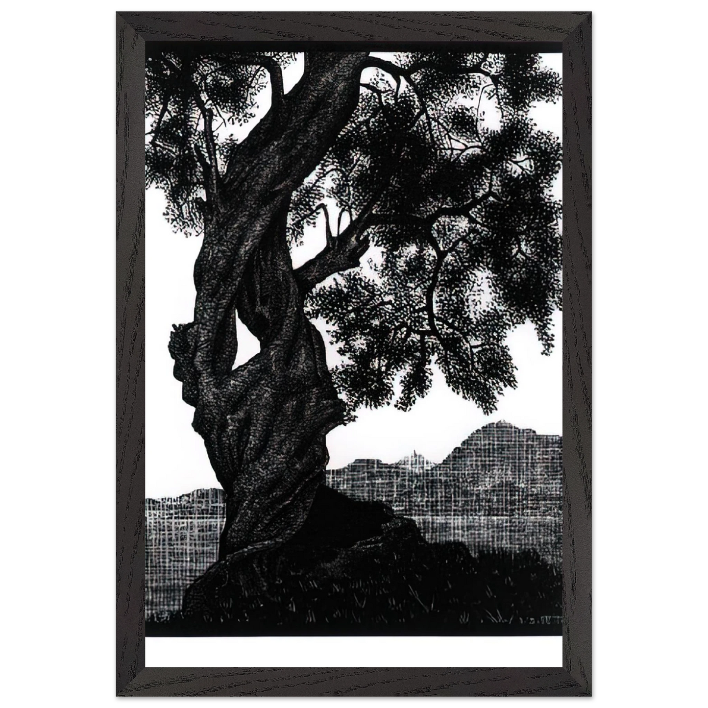MC Escher - OLD OLIVE TREE CORSICA Wall Art - 30x40 cm / 12x16 inches - Premium Wooden Framed Poster With Fine Art Paper - Black frame