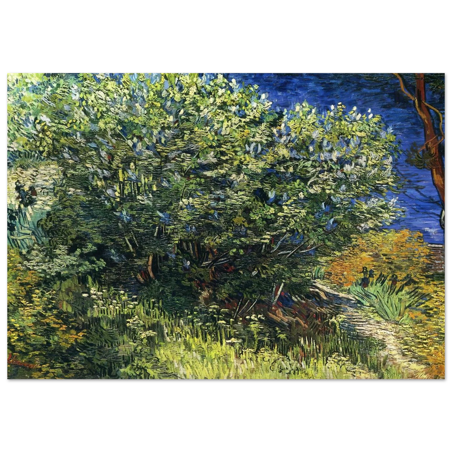Lilac Bush - Vincent van Gogh Brushed Aluminum Print - 70x100 cm / 28x40 inches | Vincent van Gogh Aluminum Print | Vincent van Gogh Prints