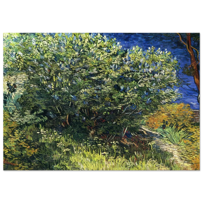 Lilac Bush - Vincent van Gogh Brushed Aluminum Print - 70x100 cm / 28x40 inches | Vincent van Gogh Aluminum Print | Vincent van Gogh Prints