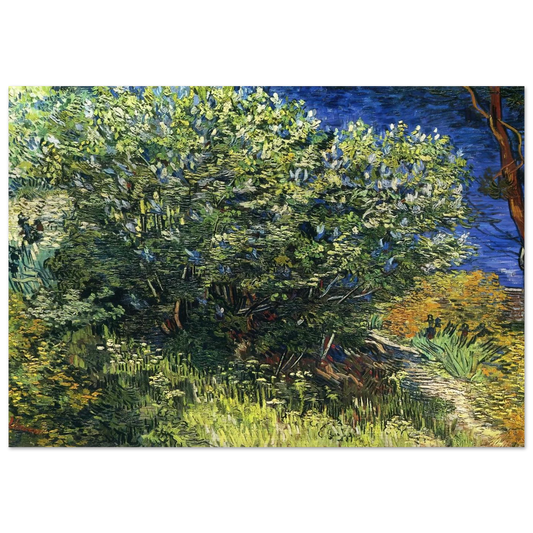 Lilac Bush - Vincent van Gogh Brushed Aluminum Print - 70x100 cm / 28x40 inches | Vincent van Gogh Aluminum Print | Vincent van Gogh Prints