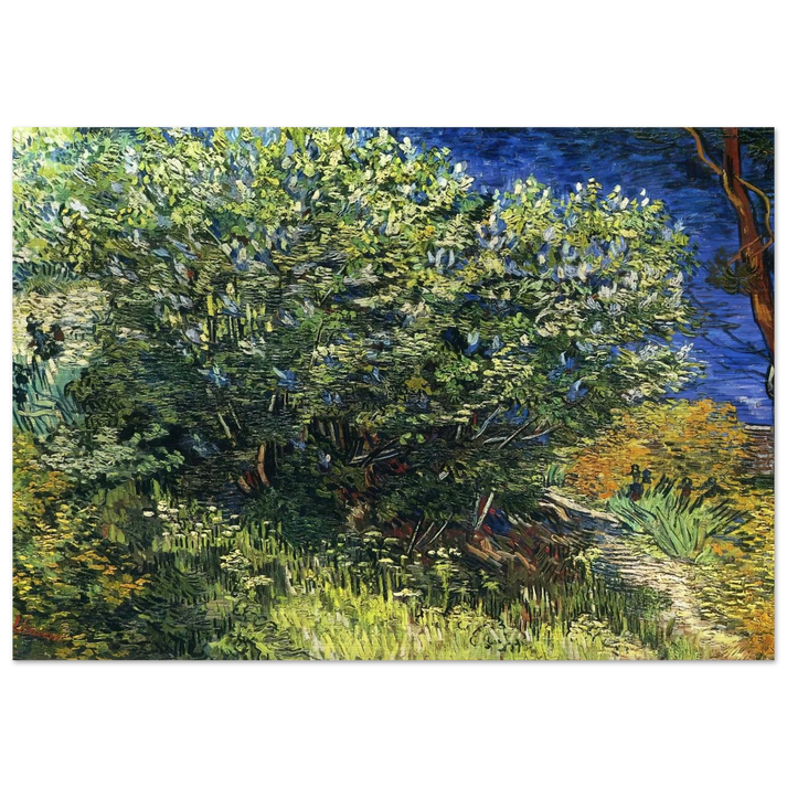 Lilac Bush - Vincent van Gogh Brushed Aluminum Print - 70x100 cm / 28x40 inches | Vincent van Gogh Aluminum Print | Vincent van Gogh Prints