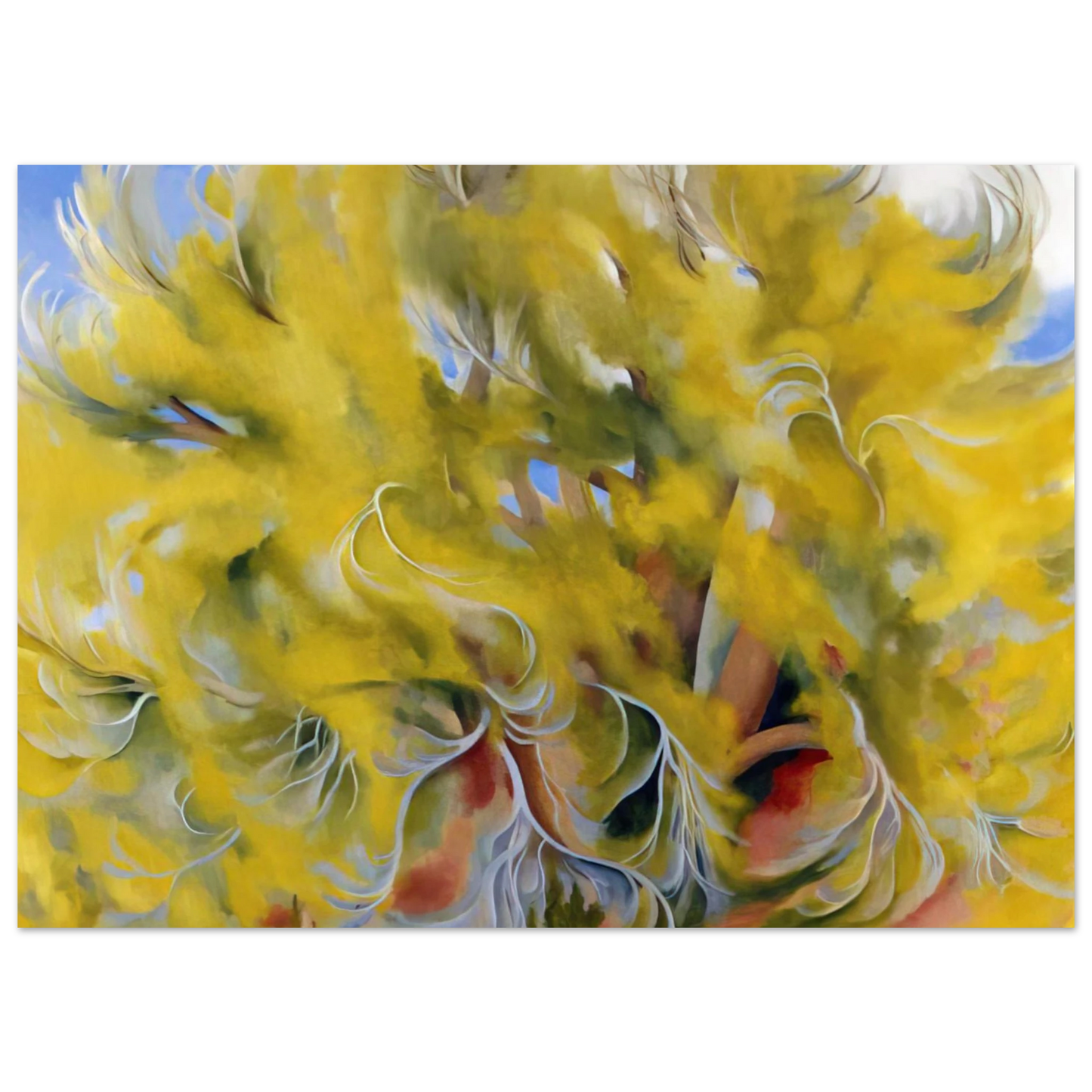 Georgia O'Keeffe - Cottonwood Tree in Spring Fine Art Poster - 40x60 cm / 16x24 inches