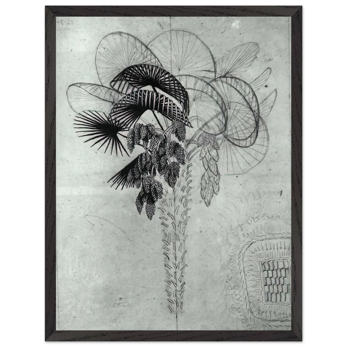 MC Escher - PALM TREE SKETCH Wall Art - 60x80 cm / 24x32 inches - Premium Wooden Framed Poster With Fine Art Paper - Wood frame