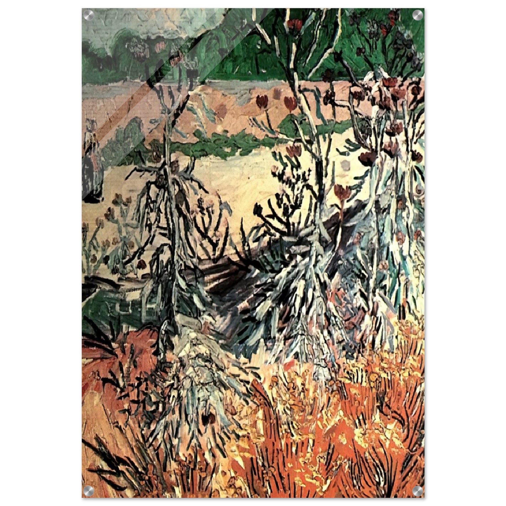 Thistles - Vincent van Gogh Acrylic Print - 70x100 cm / 28x40″ inches