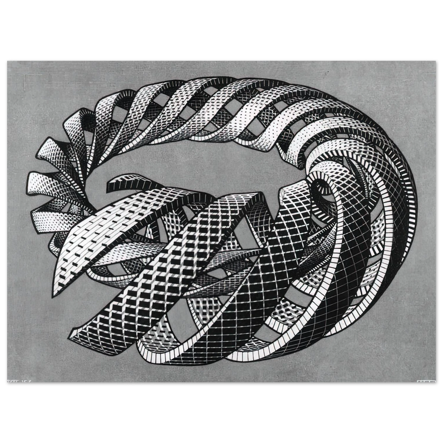 MC Escher - SPIRALS Wall Art - 30x40 cm / 12x16 inches - Fine Art Poster - -