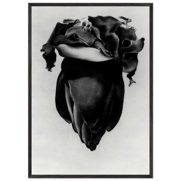 Banana Flower - Georgia OKeeffe 70x100 cm / 28x40 inches Framed Art Print – Black Wooden Frame