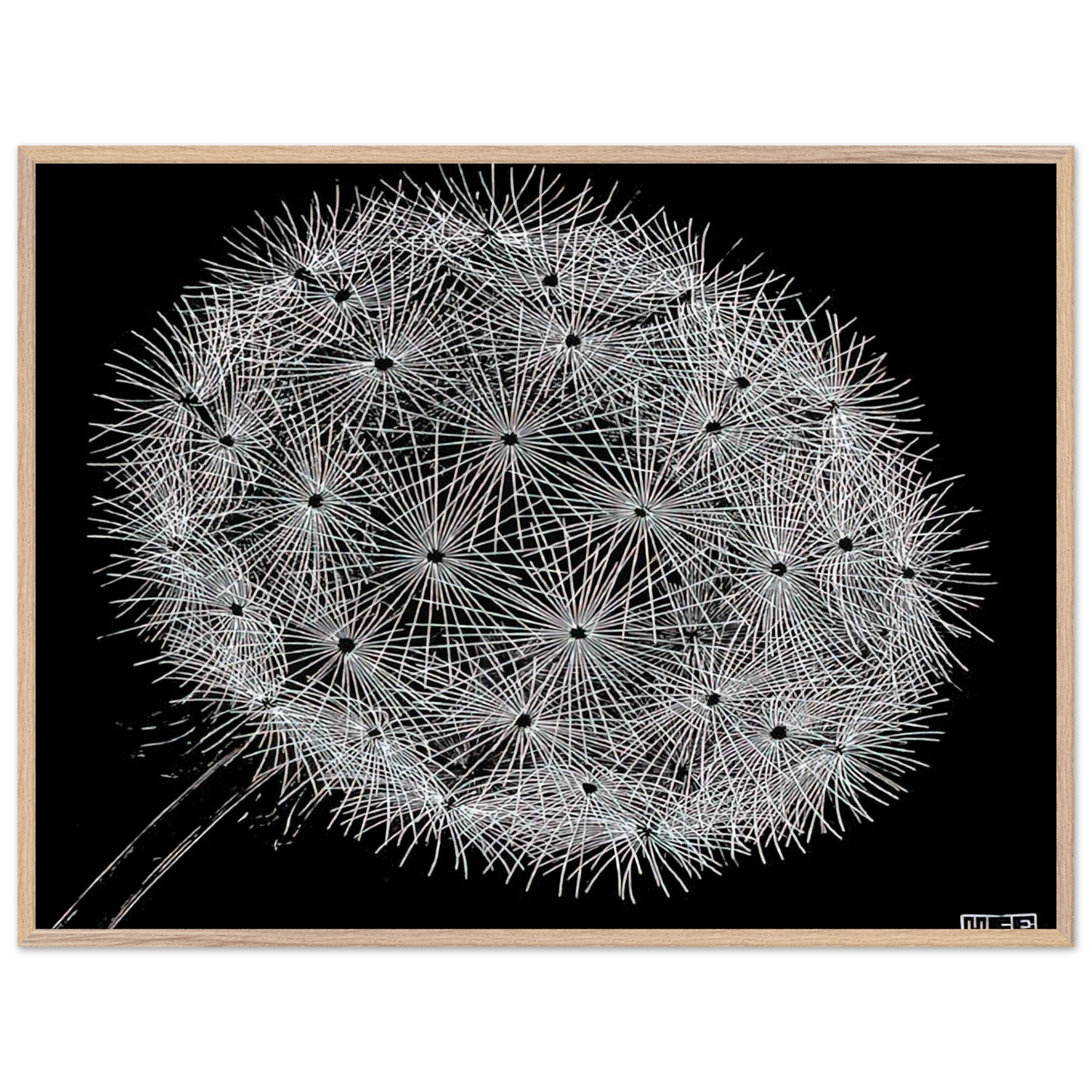 MC Escher - BLOWBALL II Wall Art - 30x40 cm / 12x16 inches - Premium Wooden Framed Poster With Fine Art Paper - Black frame