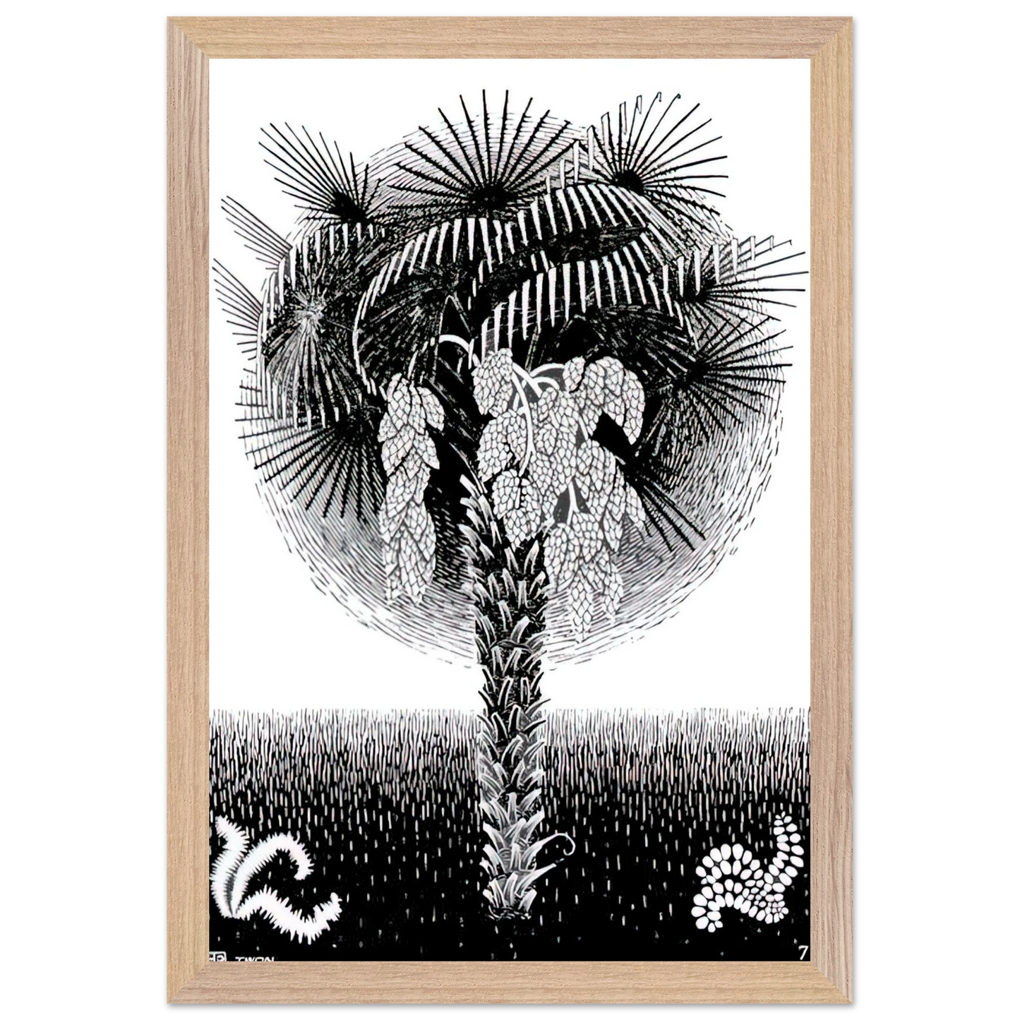 MC Escher - PALM TREE Wall Art - 30x40 cm / 12x16 inches - Premium Wooden Framed Poster With Fine Art Paper - Wood frame