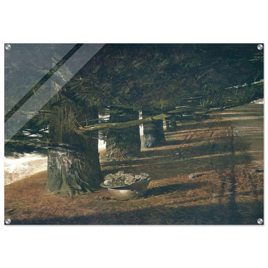 PINE BARON - Andrew Wyeth Acrylic Print - 70x100 cm / 28x40″ inches