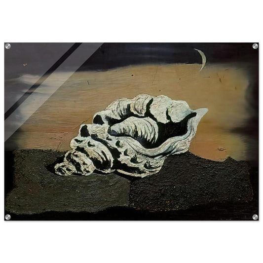 SHELL - Salvador Dali Acrylic Print - 70x100 cm / 28x40″ inches