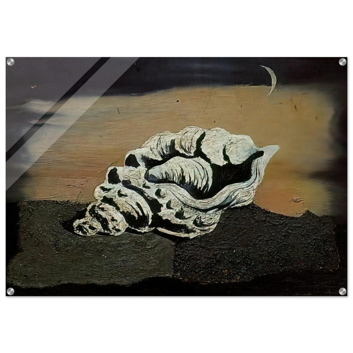SHELL - Salvador Dali Acrylic Print - 70x100 cm / 28x40″ inches
