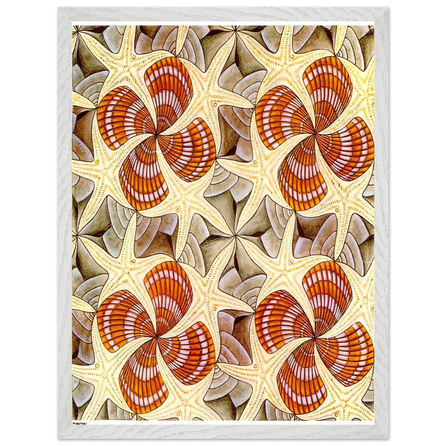 MC Escher - SHELLS AND STARFISH Wall Art - 30x40 cm / 12x16 inches - Premium Wooden Framed Poster With Fine Art Paper - Wood frame