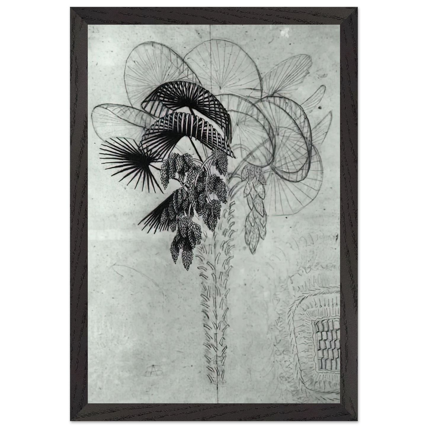 MC Escher - PALM TREE SKETCH Wall Art - 21x29.7 cm / 8x12" - Premium Wooden Framed Poster With Fine Art Paper - Black frame