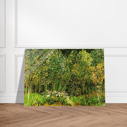 The Grove - Vincent van Gogh Acrylic Print - 70x100 cm / 28x40″ inches