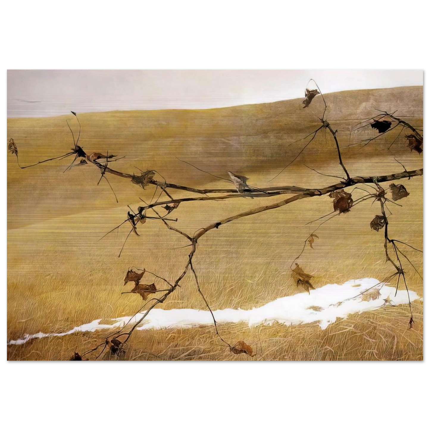 37f386d9-4412-44d0-9a6a-ab715a49a13e