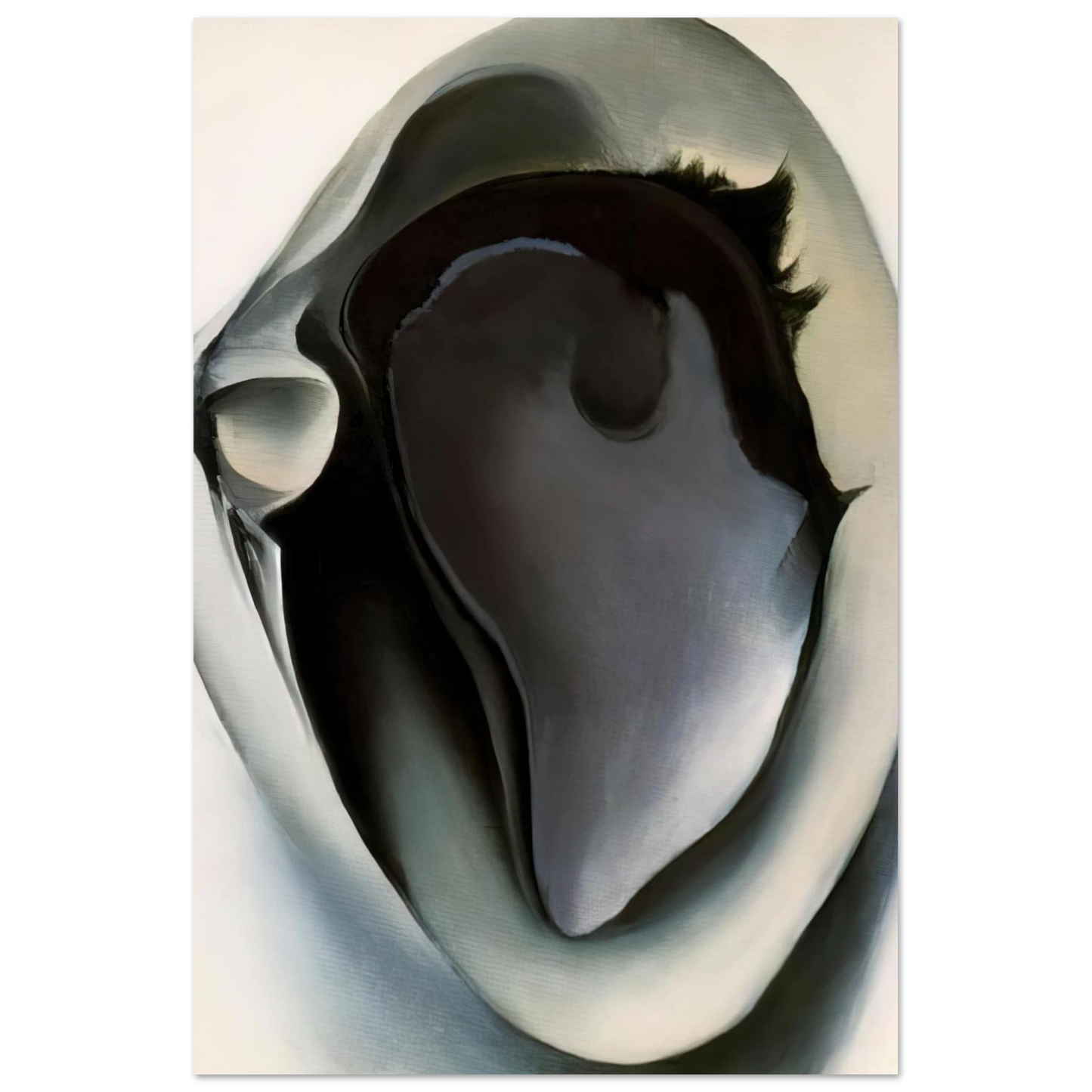 Georgia O'Keeffe - Clam and mussel Fine Art Poster - 40x60 cm / 16x24 inches