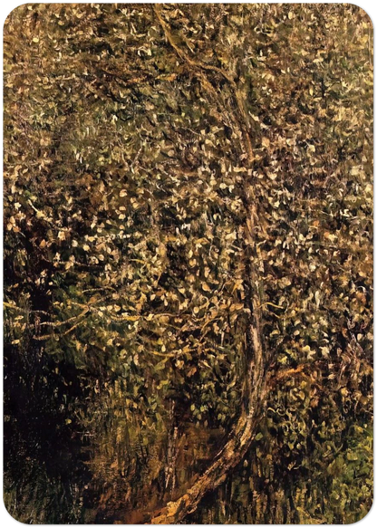 Apple Trees in Blossom by the Water By claude monet Pack of 10 Post Cards | claude monet Post Cards | A6 (10.5 x 14.8 cm) - 4.1 x 5.8 inches