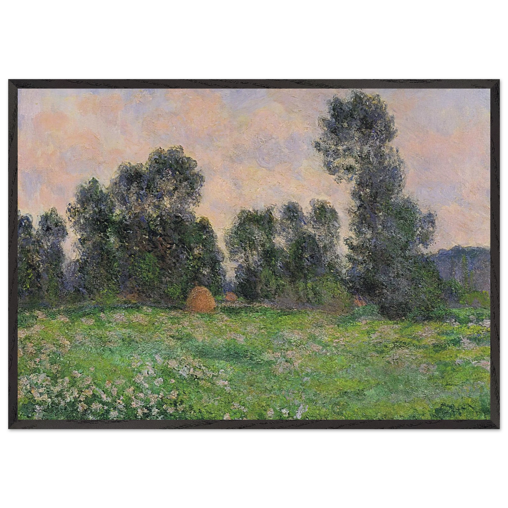 Meadow in Giverny - claude monet Framed Art Print – Black Wooden Frame - Default Title - -Framed Art Print