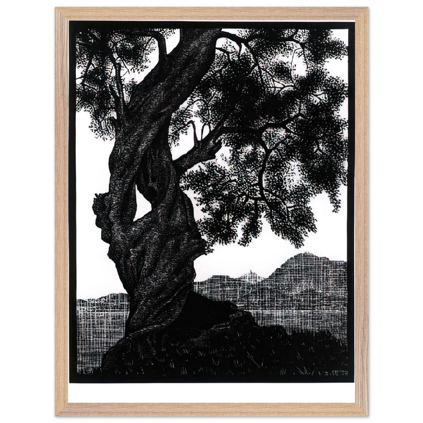 MC Escher - OLD OLIVE TREE CORSICA Wall Art - 60x80 cm / 24x32 inches - Fine Art Poster - -