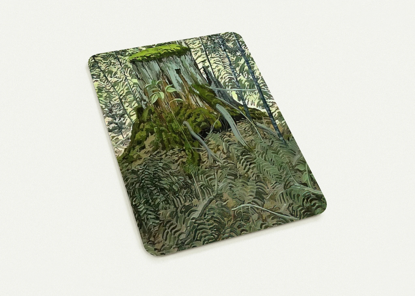 3a92b3c2-dd8f-4195-8fcd-d1c639c5d54f