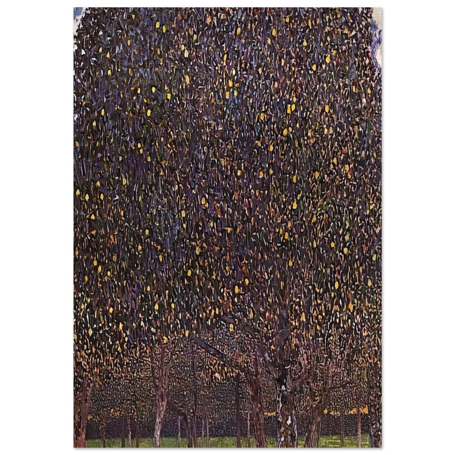 3ab56f0b-afa6-4398-8792-0e61b3ec7d25