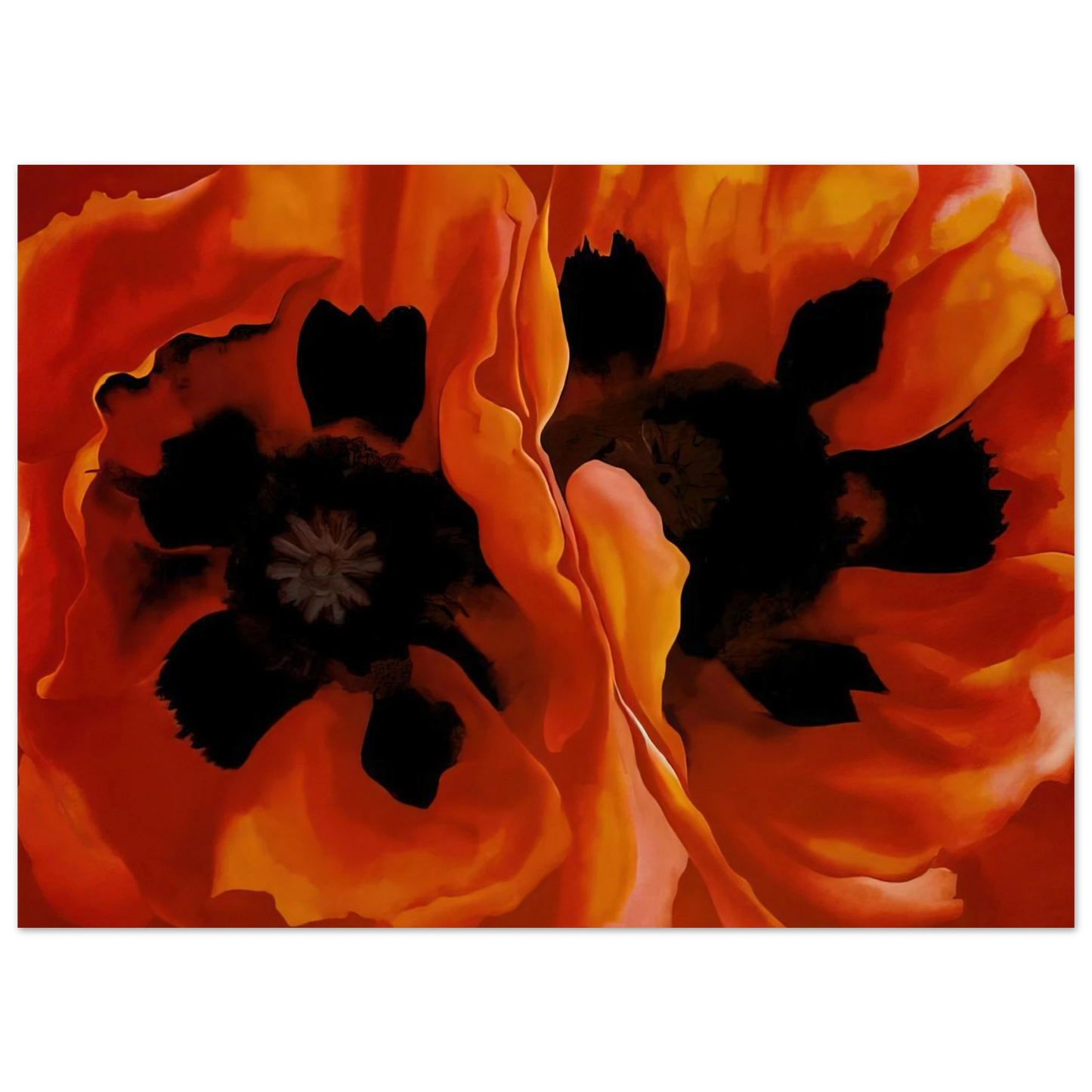 Georgia O'Keeffe - Oriental Poppies Fine Art Poster - 40x60 cm / 16x24 inches