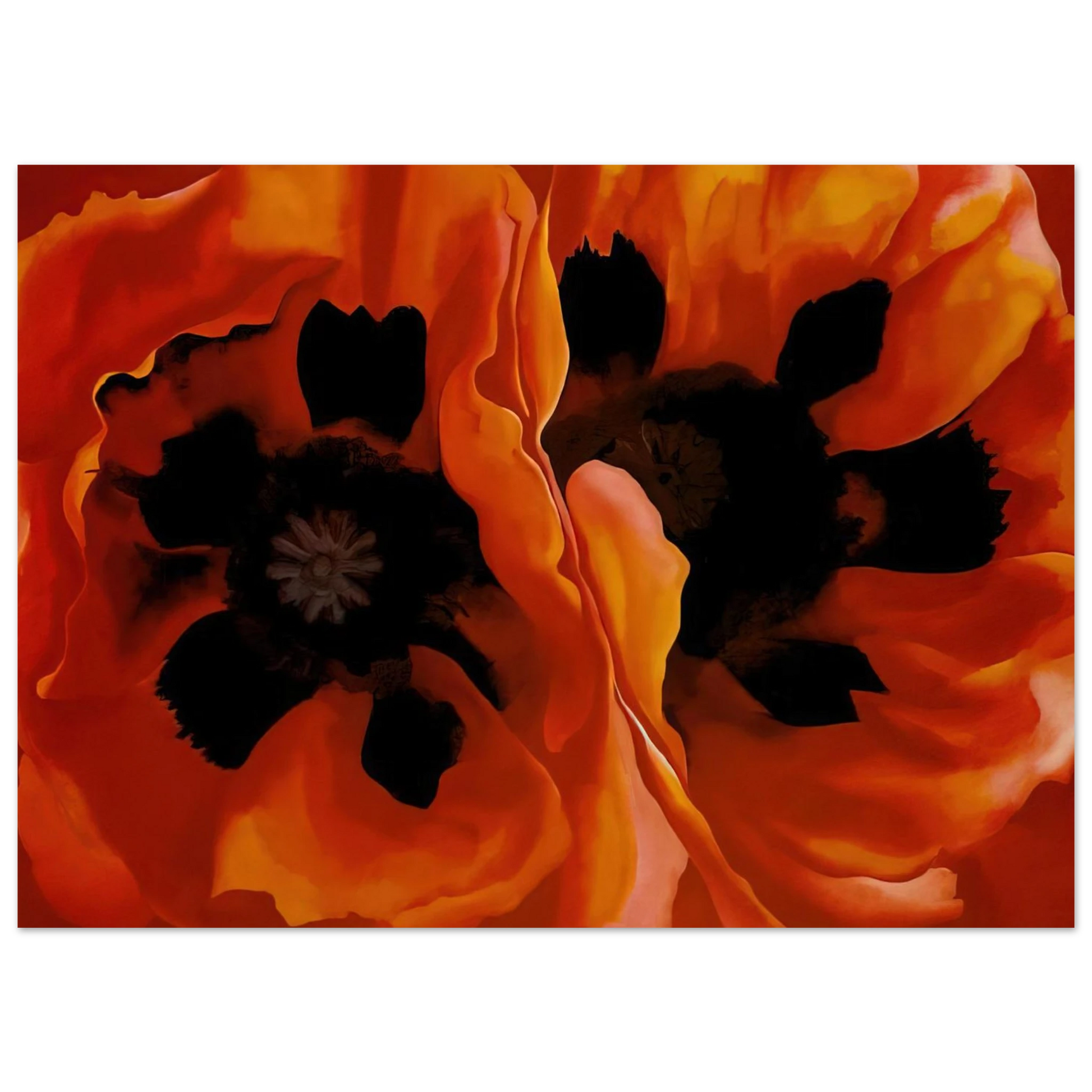 Georgia O'Keeffe - Oriental Poppies Fine Art Poster - 40x60 cm / 16x24 inches