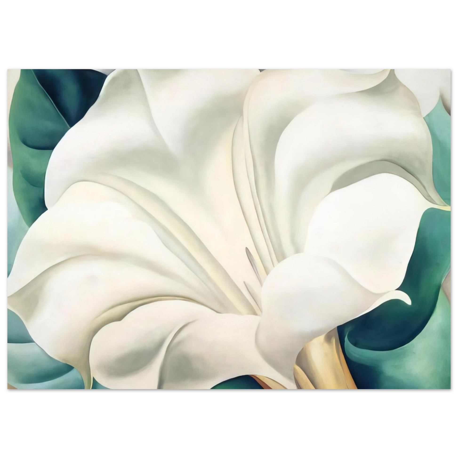 Georgia O'Keeffe - Jimson Weed 2 Fine Art Poster - 40x60 cm / 16x24 inches