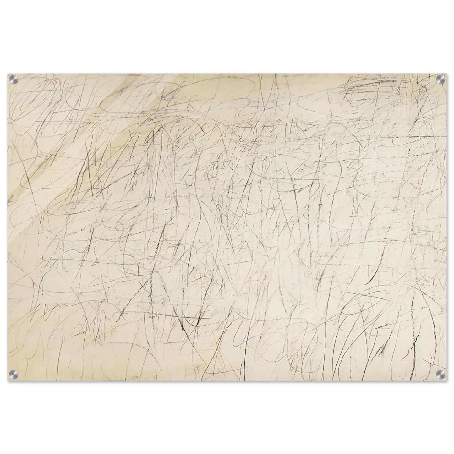 3bf9bc51-ddc2-4880-9aa1-bb58476529bb