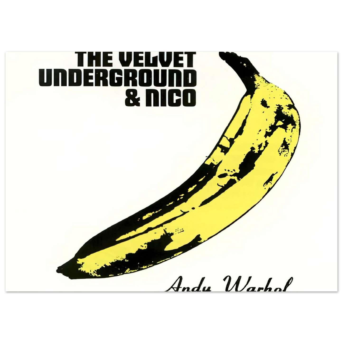 Andy Warhol - Velvet Underground & Nico Fine Art Poster - 40x60 cm / 16x24 inches