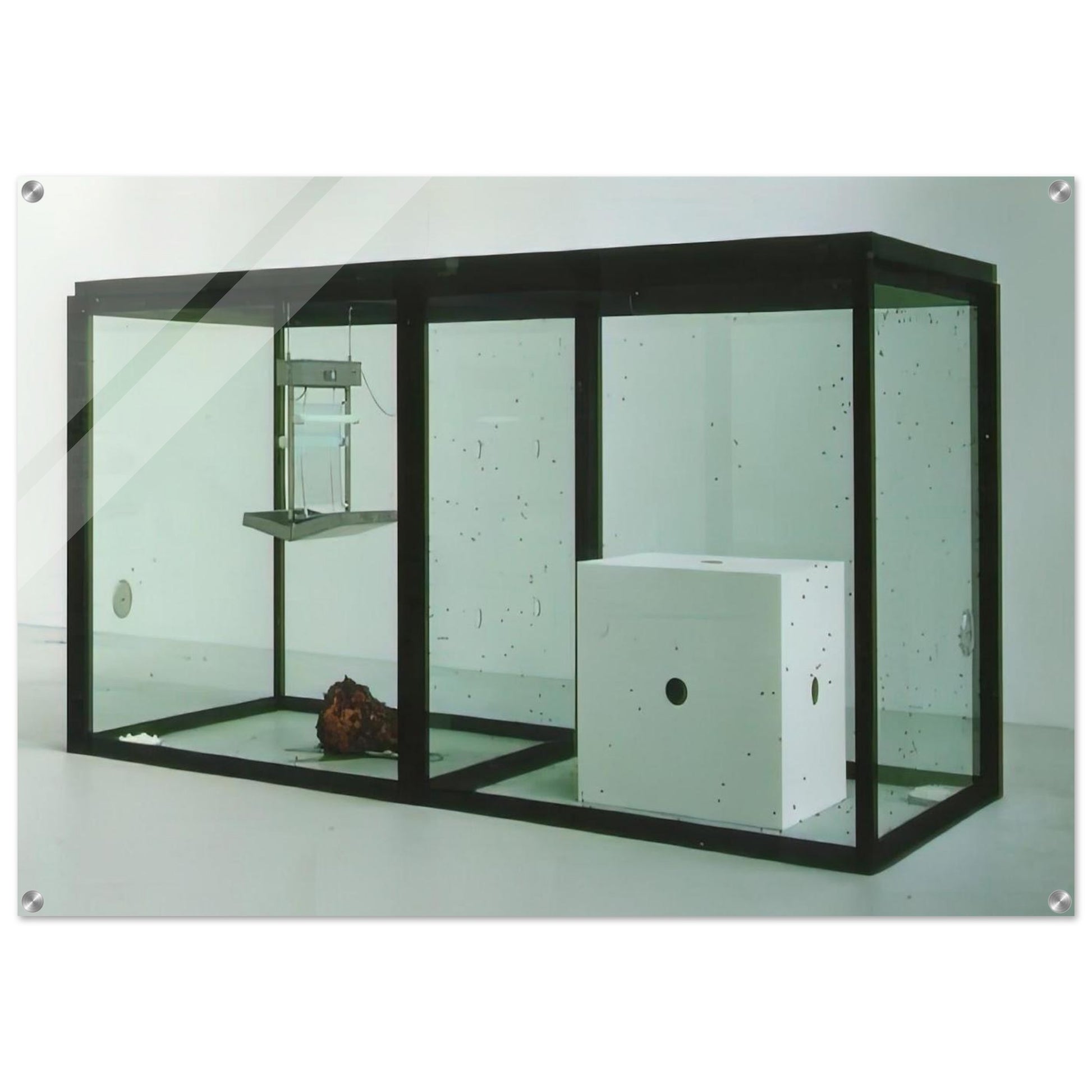 A THOUSAND YEARS - Damien Hirst Acrylic Print - 70x100 cm / 28x40″ inches | Damien Hirst Wall Art | Damien Hirst Prints