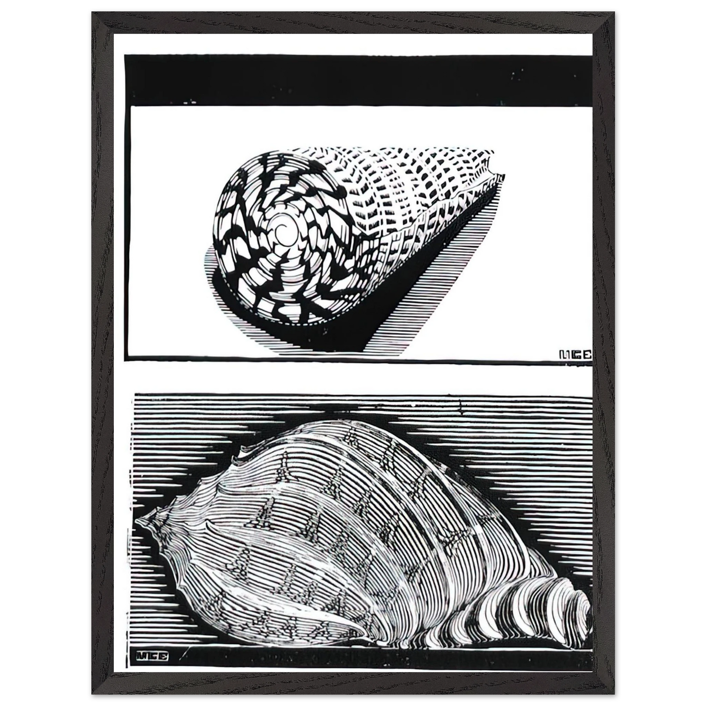 MC Escher - SEA SHELLS Wall Art - 21x29.7 cm / 8x12" - Premium Wooden Framed Poster With Fine Art Paper - Black frame