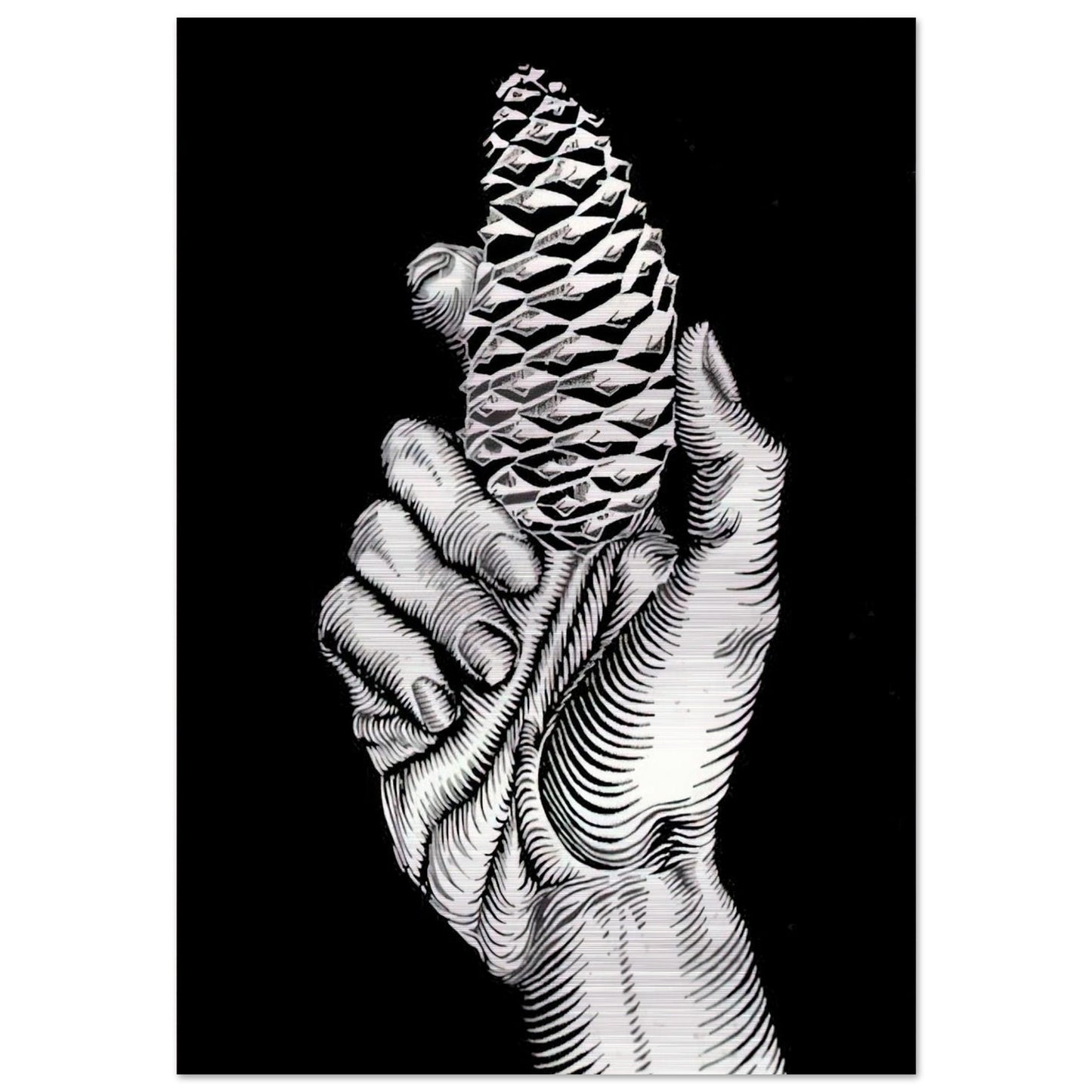 HAND WITH FIR CONE - MC Escher Brushed Aluminum Print - 70x100 cm / 28x40 inches | MC Escher Aluminum Print | MC Escher Prints
