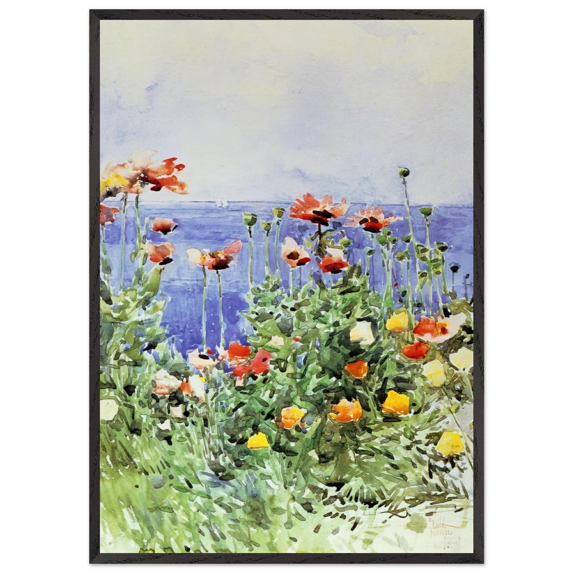 Poppies Isles of Shoals 02 - Childe Hassam Framed Art Print – Black Wooden Frame - Default Title - -Framed Art Print