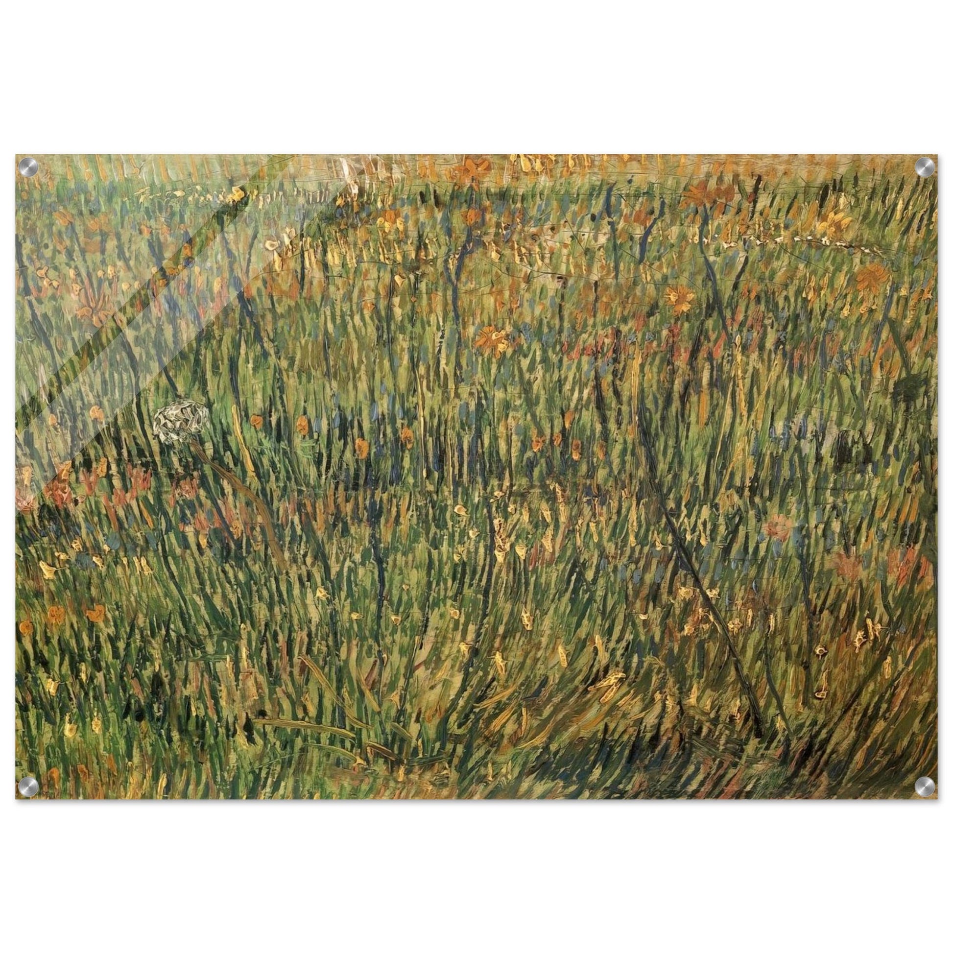Pasture in Bloom - Vincent van Gogh Acrylic Print - 70x100 cm / 28x40″ inches