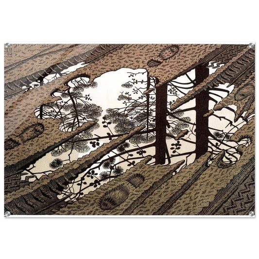 PUDDLE - MC Escher Acrylic Print - 70x100 cm / 28x40″ inches | Maurits Cornelis Escher Prints