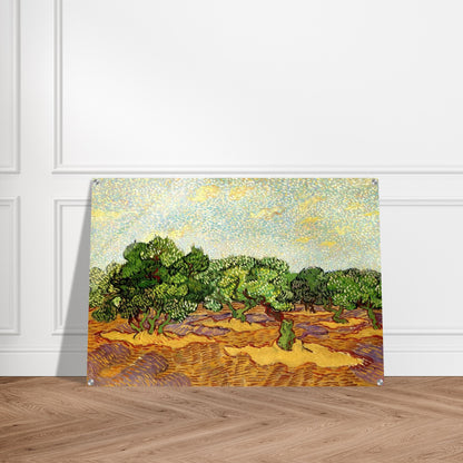 Olive Grove - Pale Blue Sky - Vincent van Gogh Acrylic Print - 70x100 cm / 28x40″ inches | Vincent van Gogh Wall Art | Vincent van Gogh Prints