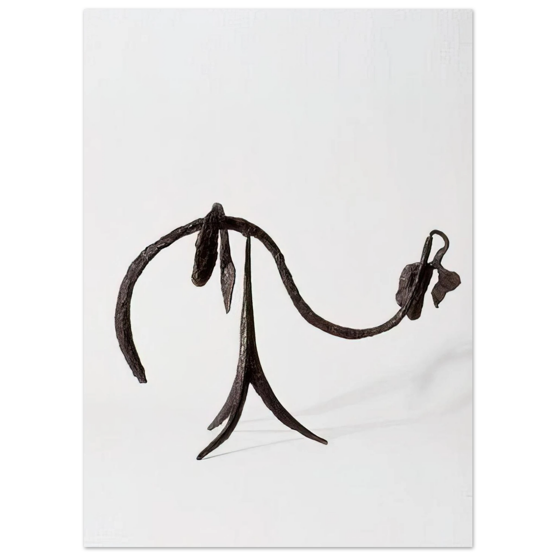 Alexander Calder - THE VINE 1944 Fine Art Poster - 40x60 cm / 16x24 inches