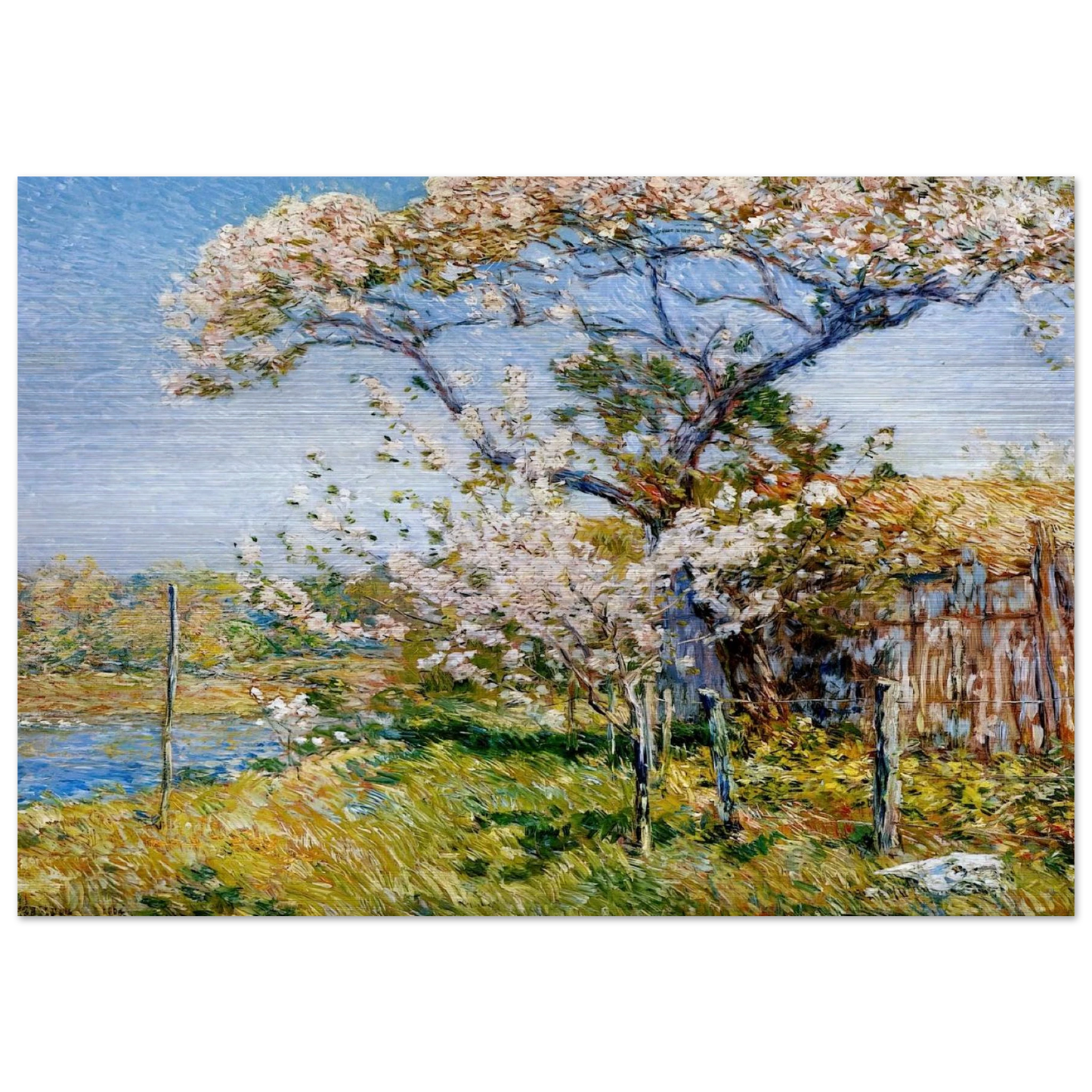 Apple Trees in Bloom, Old Lyme - Childe Hassam Brushed Aluminum Print - 70x100 cm / 28x40 inches | Childe Hassam Aluminum Print | Childe Hassam Prints