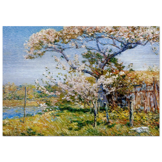 Apple Trees in Bloom, Old Lyme - Childe Hassam Brushed Aluminum Print - 70x100 cm / 28x40 inches | Childe Hassam Aluminum Print | Childe Hassam Prints