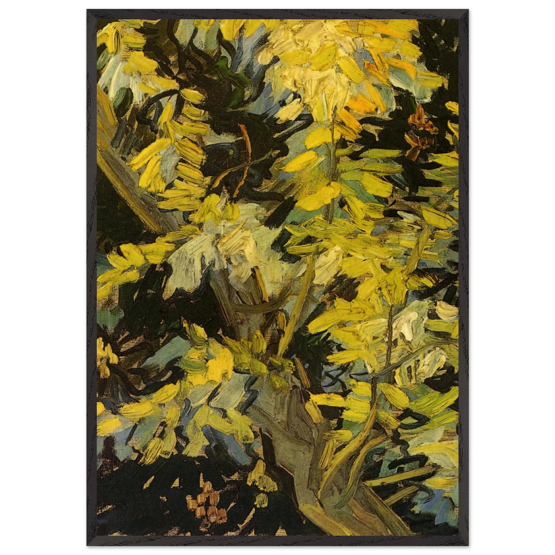 Blossoming Acacia Branches - Vincent van Gogh Framed Art Print – Black Wooden Frame - Default Title - -Framed Art Print