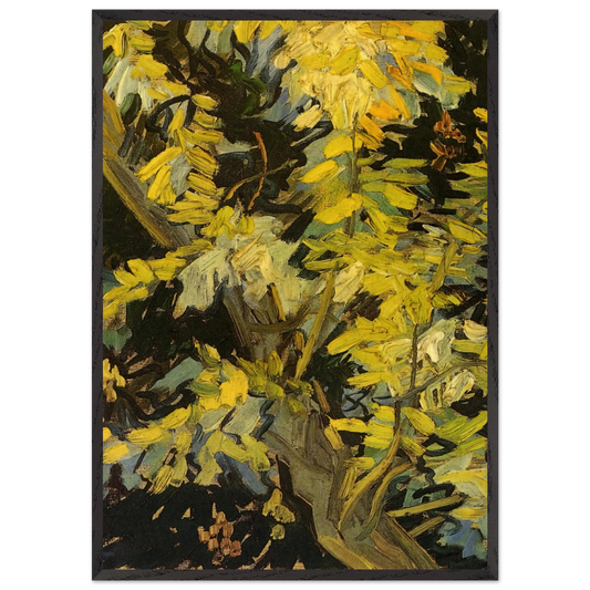 Blossoming Acacia Branches - Vincent van Gogh 70x100 cm / 28x40 inches Framed Art Print – Black Wooden Frame