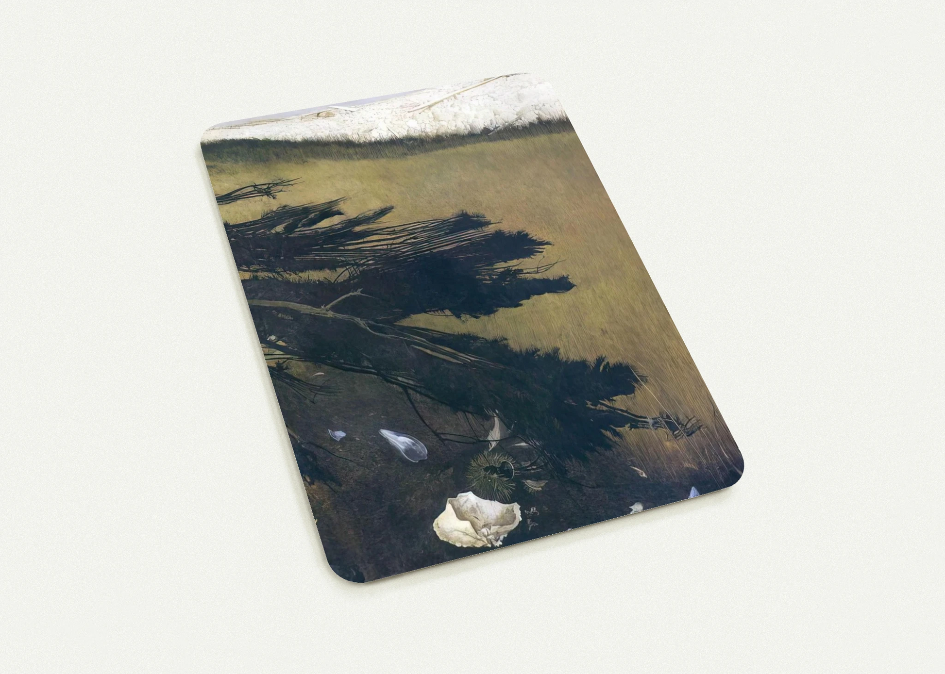 3fd12650-9936-4bc9-96d2-f7c49bb7c36c