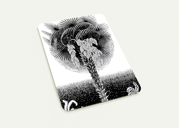 PALM TREE By MC Escher Pack of 10 Post Cards | MC Escher Post Cards | A6 (10.5 x 14.8 cm) - 4.1 x 5.8 inches