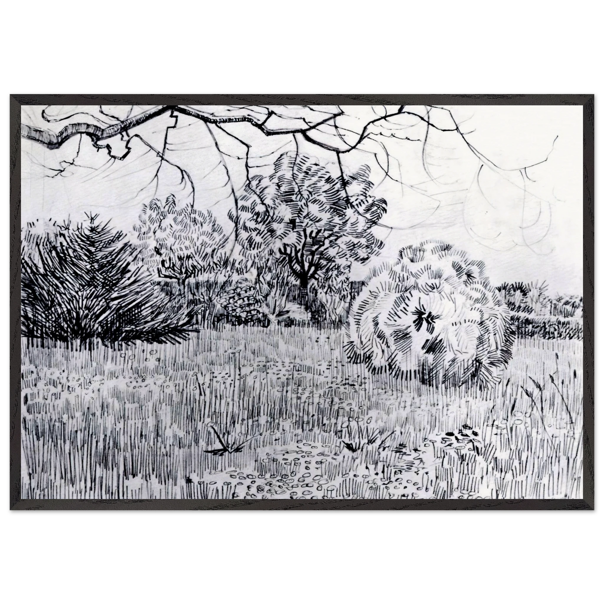 Park at Arles - Vincent van Gogh Framed Art Print – Black Wooden Frame - Default Title - -Framed Art Print