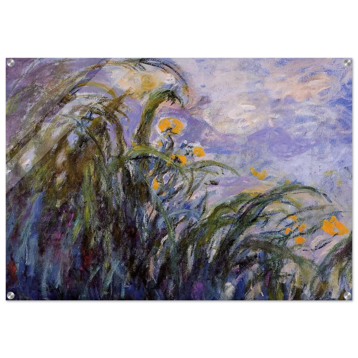 Yellow Irises - claude monet Acrylic Print - 70x100 cm / 28x40″ inches