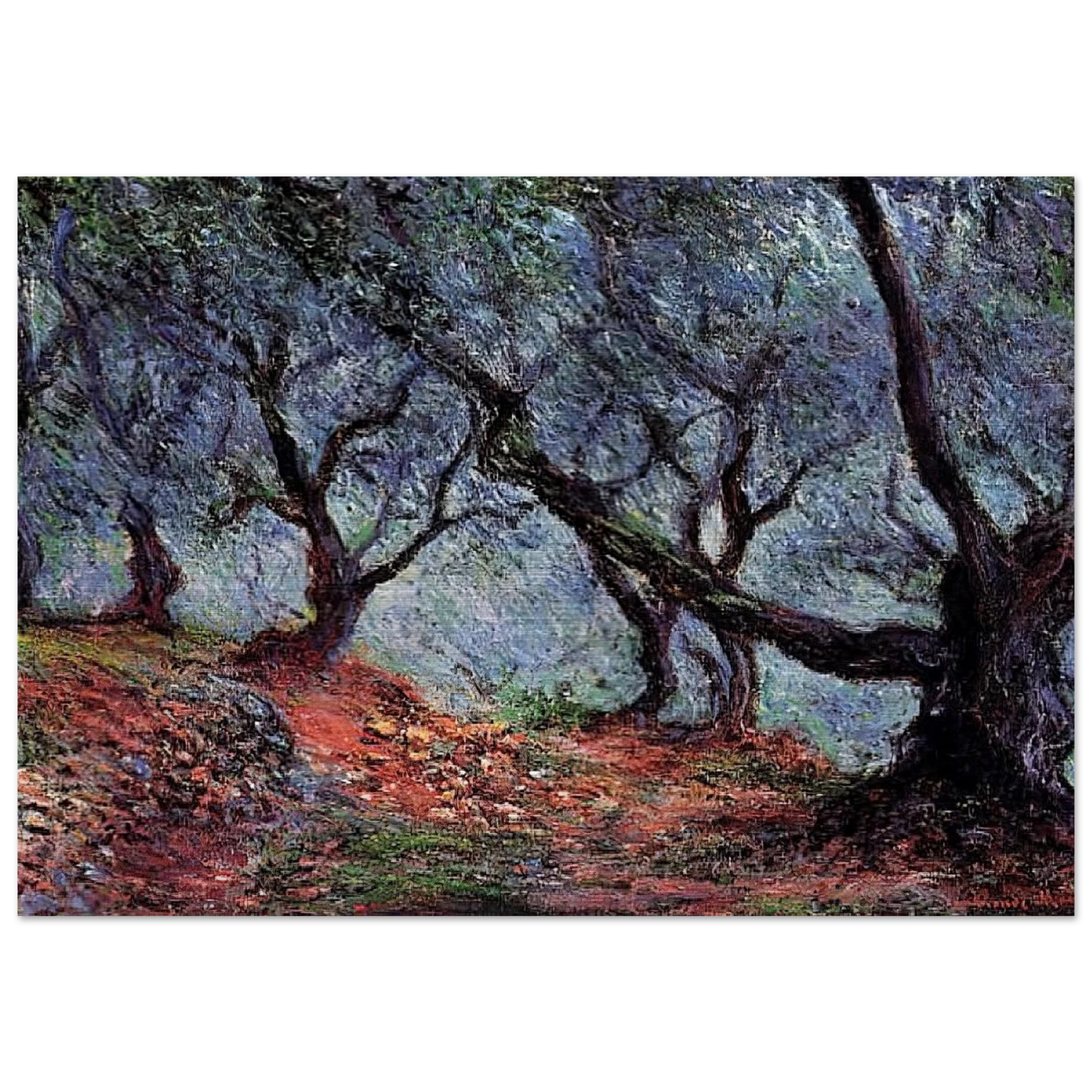 Grove of Olive Trees in Bordighera - claude monet Brushed Aluminum Print - 70x100 cm / 28x40 inches | claude monet Aluminum Print | claude monet Prints