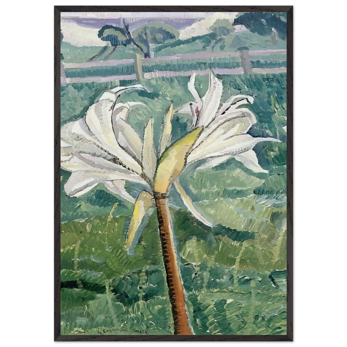 Lily growing in a field by the sea - 1927 - Grace Cossington Smith 70x100 cm / 28x40 inches Framed Art Print – Black Wooden Frame